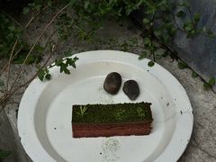 -知亘茶食