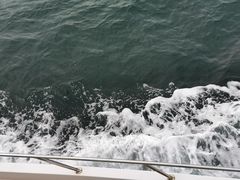 -深圳大梅沙湾游艇度假酒店