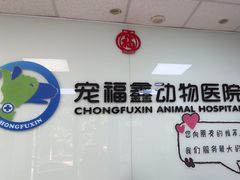 -宠福鑫动物医院(城北分院)