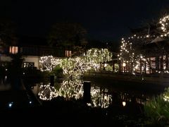 -杭州西子湖四季酒店-WL BISTRO西湖餐厅(灵隐路店)