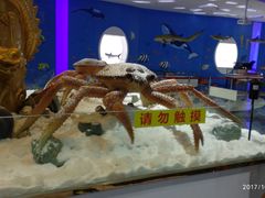 -亚龙湾中心广场