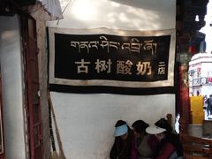 -古树酸奶(八廓南街店)