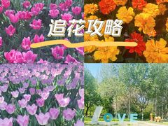 -朝阳公园
