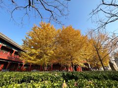 -北京石刻艺术博物馆(五塔寺)