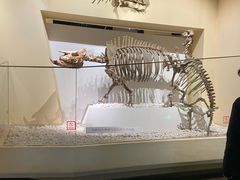 -国家自然博物馆