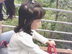 -铜川市金锁关石林