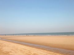 -日照海滨国家森林公园