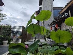 -老凯俚酸汤鱼(多彩城店)