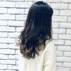 -京世沙龙