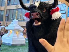 -思金拉措庄园藏餐(太阳岛店)