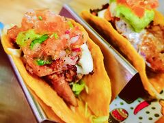 -Famous肥猫墨西哥音乐餐吧(五棵松华熙LIVE店)