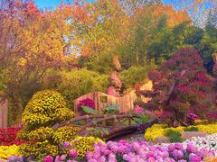 -杭州植物园