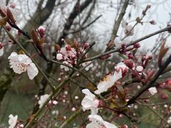 -桤木河湿地公园