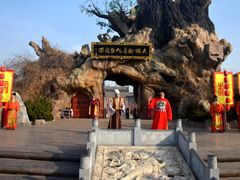 -大槐树寻根祭祖园