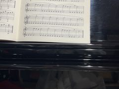 -七弦之上钢琴培训学校