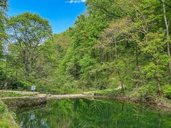 -素山寺森林公园
