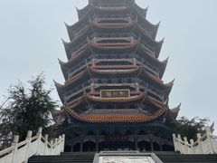 -铁山坪森林公园