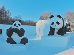 -长春莲花山滑雪场