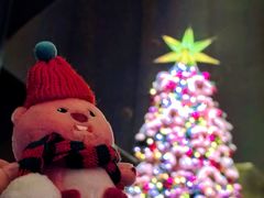 -和平宾馆(王府井店)