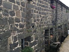 -桑洲油菜花景区