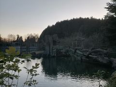 -四明山国家森林公园