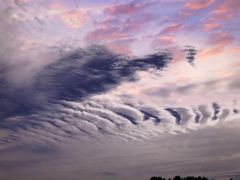 -柳湖沙月沙滩公园