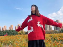 -映月湖中央公园