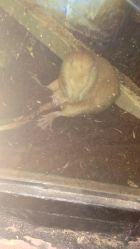 -酷嗒动物文化乐园(cutezoo西溪乐天城店)