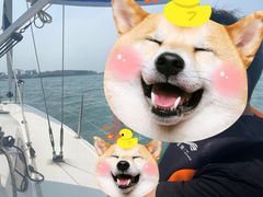 -五缘湾游艇帆船俱乐部