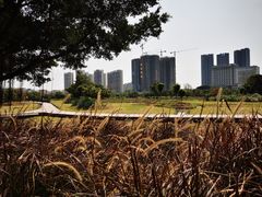 -海珠湖公园