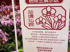 -武汉荟聚