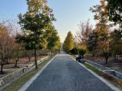 -广富林郊野公园
