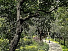 -佛山市三水区大南山森林公园