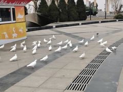 -泰达航母主题公园