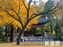 -汇龙潭