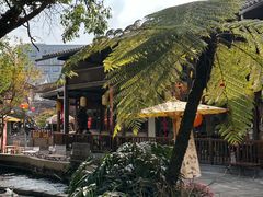 -姚记抚仙湖石锅鱼庄