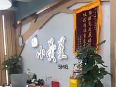 -小荧星艺校(大宁分校)