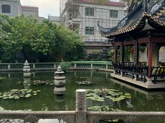 -碧江金楼