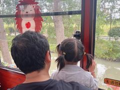 -合肥滨湖国家森林公园