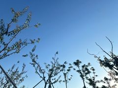 -龙爪山国家地质公园