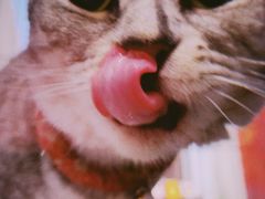 -金谷里艺术馆