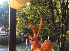 -杭州第一世界大酒店·云曼温泉