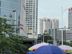 -广西壮族自治区博物馆