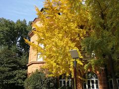 周边环境-复旦大学附属华山医院(总院)