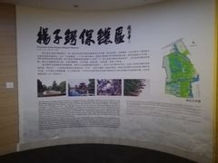 -中国扬子鳄村