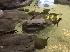 -福州罗源湾海洋世界旅游区