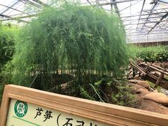 -上海都市菜园