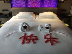 -北京索菲特大酒店