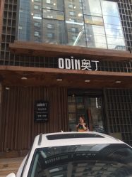-ODIN 奥丁形象设计 