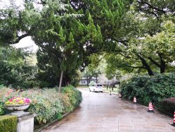 -虹桥迎宾馆·宴会厅